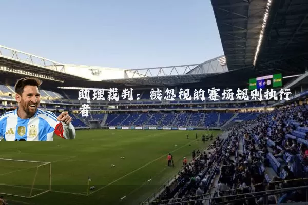 助理裁判:被忽视的赛场规则执行者